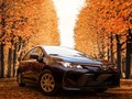 Golden leaves, golden design.  #TOYOTA #Corolla #Sedan