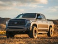 Fond of field work.  Photo by @catchstills.  If you want to be featured, add #Toyotagram in your post.  #TOYOTA #Tundra #Pickup