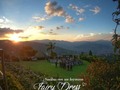 ¿Te casas este año? 😍 Desliza y conoce las opciones que te brinda nuestra nueva colección de vestidos... Esto será amor a primera vista 👰🏻  ✔️ Agenda tu cita y encuentra tu vestido soñado  . .  #bodas #novias #vestidosdenovia #dreamdress #weddingdress #boda #medellin #vestidodenoiva #bridal #bridallook #casamiento #weddingmoments #colombia #noviasmiami #noviasmedellín #bodasmedellin #noviafeliz #noviasmedellin #matrimonioscolombia #envigado #elretiro