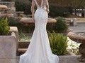 Una de las referencias que más piden nuestras novias 😍💕 Angelina de @monreal_bridal es un hermoso y elegante vestido con escote en forma de "V" y delicadas mangas largas decoradas con detalles florales ❤️  ✔️ Disponible en tienda  . . .  #bodas #novias #vestidosdenovia #dreamdress #weddingdress #boda #medellin #vestidodenoiva #bridal #bridallook #casamiento #weddingmoments #colombia #noviasmiami #noviasmedellín #bodasmedellin #noviafeliz #noviasmedellin #matrimonioscolombia #envigado #elretiro
