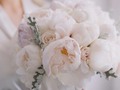 El bouquet de la novia es una hermosa tradición ✨ Se utiliza para simbolizar la esperanza, la fertilidad y la nueva vida 💕  ✅ Agenda tu cita y Visítanos para que conozcas nuestra nueva colección de vestidos de novia.  . .  #bodas #novias #vestidosdenovia #dreamdress #weddingdress #boda #medellin #vestidodenoiva #bridal #bridallook #casamiento #weddingmoments #colombia #noviasmiami #noviasmedellín #bodasmedellin #noviafeliz #noviasmedellin #matrimonioscolombia #envigado #elretiro