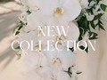 Muy pronto llegan a Medellín estas hermosas referencias 😍✨  Si quieres lucir como una princesa en tu día soñado, debes agendar una cita en @tgnovias 💕  ..  #bodas #novias #vestidosdenovia #dreamdress #weddingdress #boda #medellin #vestidodenoiva #bridal #bridallook #casamiento #weddingmoments #colombia #noviasmiami #noviasmedellín #bodasmedellin #noviafeliz #noviasmedellin