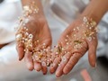 Ahora puedes encontrar las hermosas tiaras de @mariel_accesorios en nuestra tienda. ✨🥰  Estos delicados y elegantes accesorios realzarán tu belleza y añadirán un toque de sofisticación a tu look nupcial.  Agenda una cita y visitanos!