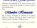 . 𝗩𝗲𝗻𝗲𝘇𝘂𝗲𝗹𝗮 𝗻𝗼 𝗲𝘀 𝗣𝗮𝗿𝘁𝗲 𝗱𝗲 𝗖𝗜𝗕𝗝𝗢. . Gracias Mi Dios, por Tus bondades 🙏. Me siento felíz, honrada y agradecida, con 𝗹𝗮 𝗖𝗮𝗺𝗮𝗿𝗮 𝗩𝗲𝗻𝗲𝘇𝗼𝗹𝗮𝗻𝗮 𝗱𝗲 𝗹𝗮 𝗜𝗻𝗱𝘂𝘀𝘁𝗿𝗶𝗮 𝗱𝗲 𝗟𝗮 𝗝𝗼𝘆𝗲𝗿í𝗮, 𝗢𝗿𝗳𝗲𝗯𝗿𝗲𝗿í𝗮 𝘆 𝗕𝗶𝘀𝘂𝘁𝗲𝗿í𝗮, por reconocer mi saber hacer.  Los reconocimientos son relevantes para quienes lo recibimos, representa una inyección de motivación, de entusiasmo, y satisfacción, nos conducen a ser cada vez mejor en lo personal y profesional.  .  L𝗮 𝗖𝗮𝗺𝗮𝗿𝗮 𝗩𝗲𝗻𝗲𝘇𝗼𝗹𝗮𝗻𝗮 𝗱𝗲 𝗹𝗮 𝗜𝗻𝗱𝘂𝘀𝘁𝗿𝗶𝗮 𝗱𝗲 𝗟𝗮 𝗝𝗼𝘆𝗲𝗿í𝗮, 𝗢𝗿𝗳𝗲𝗯𝗿𝗲𝗿í𝗮 𝘆 𝗕𝗶𝘀𝘂𝘁𝗲𝗿í𝗮. Es un proyecto colectivo, que nace en el Marco del Proyecto Nacional de Formación de Joyería y Orfebrería de la Universidad Experimental de las Artes (UNEARTE).  . 𝗘𝗹 𝗽𝗿𝗼𝗽ó𝘀𝗶𝘁𝗼 𝗱𝗲 𝗹𝗮 𝗖𝗮𝗺𝗮𝗿𝗮 𝗩𝗲𝗻𝗲𝘇𝗼𝗹𝗮𝗻𝗮 𝗱𝗲 𝗹𝗮 𝗜𝗻𝗱𝘂𝘀𝘁𝗿𝗶𝗮 𝗱𝗲 𝗟𝗮 𝗝𝗼𝘆𝗲𝗿í𝗮, 𝗢𝗿𝗳𝗲𝗯𝗿𝗲𝗿í𝗮 𝘆 𝗕𝗶𝘀𝘂𝘁𝗲𝗿í𝗮, crear una Asociación Civil, con un grupo representativo de agremiados, para hacer la solicitud ante la Confederación Internacional de Bisutería, Joyería y Orfebrería (𝗖𝗜𝗕𝗝𝗢). CIBJO, es esencialmente las Naciones Unidas del Negocio de los Diamantes, Las Gemas y la Joyería. La Confederación Internacional, se ha convertido en la única organización del sector de la joyería que ha recibido el estatus oficial consultivo del Consejo Económico y Social, (𝗘𝗖𝗢𝗦𝗢𝗖) . Uno de los objetivos 𝗱𝗲 𝗹𝗮 𝗖𝗮𝗺𝗮𝗿𝗮 𝗩𝗲𝗻𝗲𝘇𝗼𝗹𝗮𝗻𝗮 𝗱𝗲 𝗹𝗮 𝗜𝗻𝗱𝘂𝘀𝘁𝗿𝗶𝗮 𝗱𝗲 𝗟a Joyería, @camaravenezolana 𝗤𝘂𝗲 𝗹𝗮 𝗝𝗼𝘆𝗲𝗿í𝗮 𝗩𝗲𝗻𝗲𝘇𝗼𝗹𝗮𝗻𝗮, 𝘁𝗲𝗻𝗴𝗮 𝗿𝗲𝗽𝗿𝗲𝘀𝗲𝗻𝘁𝗮𝗰𝗶ó𝗻 𝗲𝗻 𝗲l 𝗺𝗲𝗿𝗰𝗮𝗱𝗼 𝗺𝘂𝗻𝗱𝗶𝗮𝗹.  Crear una Asociación que una al gremio, para darle orden al mercado nacional, rescatar los oficios, y darle el merecido valor.  . PD: Quiero compartir este reconocimiento contigo, gracias por apoyar y valorar mi talento. "Perseverancia, Disciplina y constancia, ayudan a conseguir objetivos".   En la unión está la fuerza🇻🇪💯💎💍❤️ . #tallerescuelasdeJoyería #JoyerosVenezolanos #orfebresvenezolanos  #bisuteriavenezolana