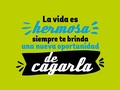 Cada día, cada semana, es una nueva oportunidad, no te rindas, ve a cagarla.  - - #peltre #personalizados #lunes