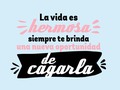 No cometan los mismos errores, hay muchos más errores por cometer. - - #peltre #personalizado #noesbullyingescoaching