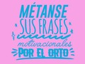 Mayo viene con lindas frases de auto superación. Que tu pocillo diga hasta lo que no puedes decir.  - - #peltre #noesbullyingescoaching #mayo