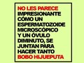 ¿No les parece? No es bullying, es coaching en pocillo de #peltre