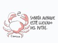 Para todos los nacidos bajo este signo. No es bullying, es coaching en pocillo de #Peltre