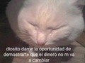 Dame la oportunidad.
