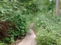 Went on a hike with the boys on the bell homestead trails this morning. #brantford #trails #bellhomestead