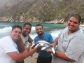 Los Papu,s, los putos amos jajajajaja #tuja #playasvenezuela #choroni #venezuelan #venezuela #beach #playa #marcaribe #fish #pescado