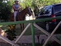 😎🤠 #cowboy #horse #horses #caballo #yegua #domingo #latepost #instasunday #instagram #instagood #instagramers #instahappy #sunday #hot🔥