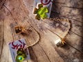 Earrings singly #toroenamoradoorfebre #jewellerydesign #instalook #handmade #goldsmith #diseñovenezolano #desing #chic #earrings #metalwork #luxury #Earringssingly