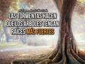 Las tormentas...