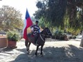 A great place to learn more about Chilean horses, food & traditions: "A Puro Caballo" restaurant, in the central valley: #Casablanca  __ #trip #Chile #chileawesomecountry #destinations #cooldestinations #ltjourney #daretotravel #chileplaces #travels #goforit #bucketlist