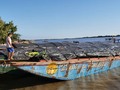 En Magangué, confluye el mundo mercantil del sur de Bolívar y Sucre, marcado por el nacimiento de la vasta región de La Mojana y la Depresión Momposina es un bullicioso terminal de embarque y desembarque de productos y pasajeros para los diferentes pueblos ribereños del Magdalena. El día a día está enmarcado por el bullicio de la gente y el calor propio de este pueblo Caribe!