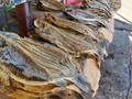 Magangué esta rodeado de ciénagas y ríos por eso es común encontrar las ventas de pescados que dan origen a sus platos típicos.  #TravesiasEnMagangue.