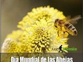 #DiaMundialDeLasAbejas Son necesarias para vida...!!