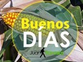Buenos días. #FelizJueves lleno de bendiciones a todos.