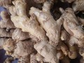 ¿Lo conoces? Es el jengibre  Le atribuyen muchas propiedades. Pero en especial, en #Cordoba se prepara una una bebida aromática común.  El jengibre es una planta de la familia de las zingiberáceas, cuyo tallo subterráneo es un rizoma horizontal muy apreciado por su aroma y sabor picante. #JuanTravesias #bebida #bebidaaromatica