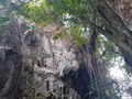 @mathiclimbing escalando en la zona de escalada, La Lagunita, ven a disfrutar con nosotros de un full day de escalada inolvidable!!! Para más info escríbenos al DM