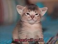 2022-04-14 12:37:34