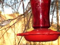 Humming