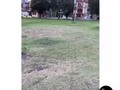 Jajajaja esos si son amigos, etiqueta a tu amigo