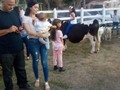 Tu granja en la fiesta de Manuela victoria la hija de mi amigo Víctor Rodríguez en el menito lagunillas costa oriental del lago solo tú granja los lleva donde tu estés el 09 de enero del 2020