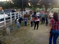 Tu granja en la fiesta de Manuela victoria la hija de mi amigo Víctor Rodríguez en el menito lagunillas costa oriental del lago solo tú granja los lleva donde tu estés el 09 de enero del 2020