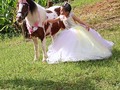 Tu granja en la sección de fotos de esta hermosa princesa el 31 de octubre del 2020 en el jardín botánico de Maracaibo