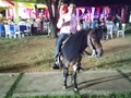 Tu granja en el cumpleaños de la hija de Willy casanova luna casanova en @cocosparkmcbo el 28 de noviembre del 2020 con los ponys con los paseos para todos los invitados de la fiesta
