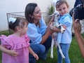 Tu granja en el cumpleaños de Gaby con su hermana Paula con la granja de contacto y los ponys en una tarde de granja en la ciudad en las residencias oasis garden el 20 de febrero del 2021