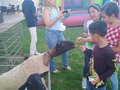 Tu granja en el cumpleaños de Gaby con su hermana Paula con la granja de contacto y los ponys en una tarde de granja en la ciudad en las residencias oasis garden el 20 de febrero del 2021 excelente