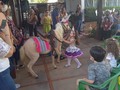 Tu granja en el cumpleaños de la princesa Miranda haciendo entrada en su unicornio dando alegria y un poco de diversión a los niños de la fiesta en la urbanización Juana de avila el 25 de febrero del 2021