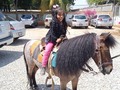 Tu granja todos los domingos y días feriados en el restaurante @deliciasmarytierra con los paseos de los ponys y inflables dando alegria y diversión a todos los clientes del restaurante ven a disfrutar de las esquisiteces de la casa te esperamos 01 de abril del 2021