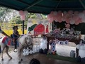 Tu granja en el cumpleaños de Alana Gómez Navarro en agua santa vía el concejo la nieta de mi primo domingo Navarro el 13 de marzo del 2021