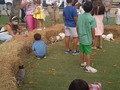 Tu granja en el día de pascuas del #club náutico de Maracaibo el 4 de abril del 2021