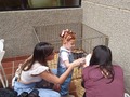 Tu granja en el cumpleaños de Eva con unos animalitos y los ponys el 09 de abril del 2021 en el edificio carsuvi de Maracaibo
