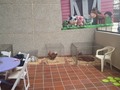 Tu granja en el cumpleaños de Eva con unos animalitos y los ponys el 09 de abril del 2021 en el edificio carsuvi de Maracaibo