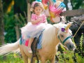 Tu granja en la sesión de fotos de esta princesita linda el 23 de junio del 2021 en el # jardín bao bao solo tu granja en los mejores eventos