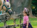 Tu granja en la sesión de fotos de esta princesita linda el 23 de junio del 2021 en el # jardín bao bao solo tu granja en los mejores eventos