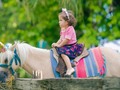 Tu granja en la sesión de fotos de esta princesita linda el 23 de junio del 2021 en el # jardín bao bao solo tu granja en los mejores eventos