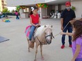 Tu granja en el cumple del hijo de la sra Pierina Márquez en la residencias puntazul el 09 de julio del 2021