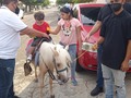 Tu granja en el cumple del hijo de mi amigo #andres Montiel el 16 de julio del 2021 en fuerzas armadas