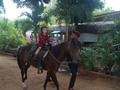 Tu granja en el cumpleaños de Luciana en el restaurante # delicias mar y tierra en palito blanco él 01 de julio del 2022