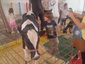 Tu granja en el plan vacacional del @kidscorner_experience el 21 de julio del 2022 con nuestro zoológico de contacto y los ponys para los paseos de los niños