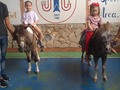 Tu granja en el @uejjthomson_ el 15 de noviembre del 2022