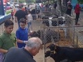 Tu granja en el evento navideño del @colegiosaltoangel el 26 de noviembre del 2022